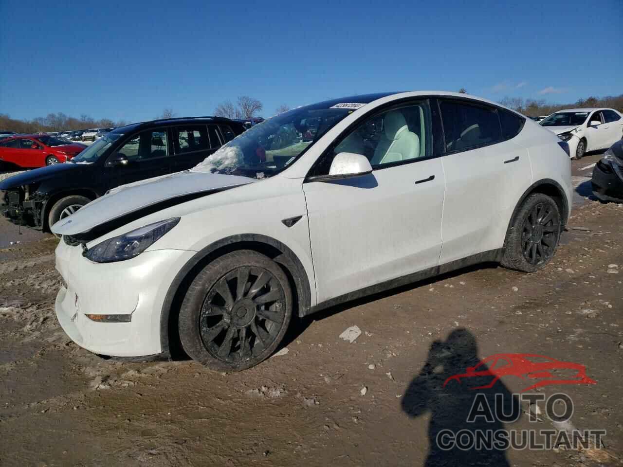 TESLA MODEL Y 2023 - 7SAYGDEE4PF841876