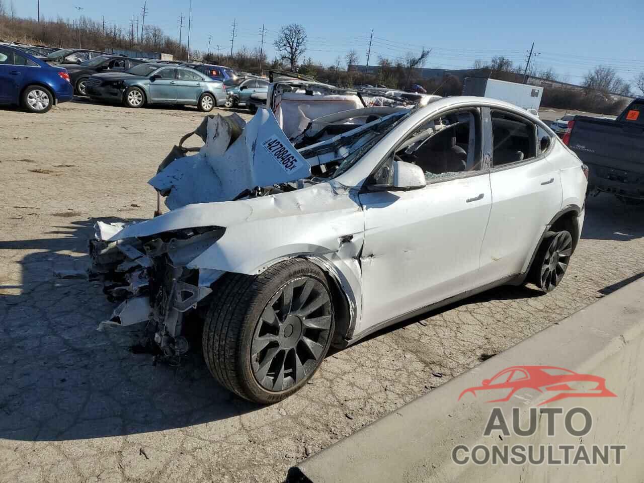 TESLA MODEL Y 2021 - 5YJYGDEE1MF253992