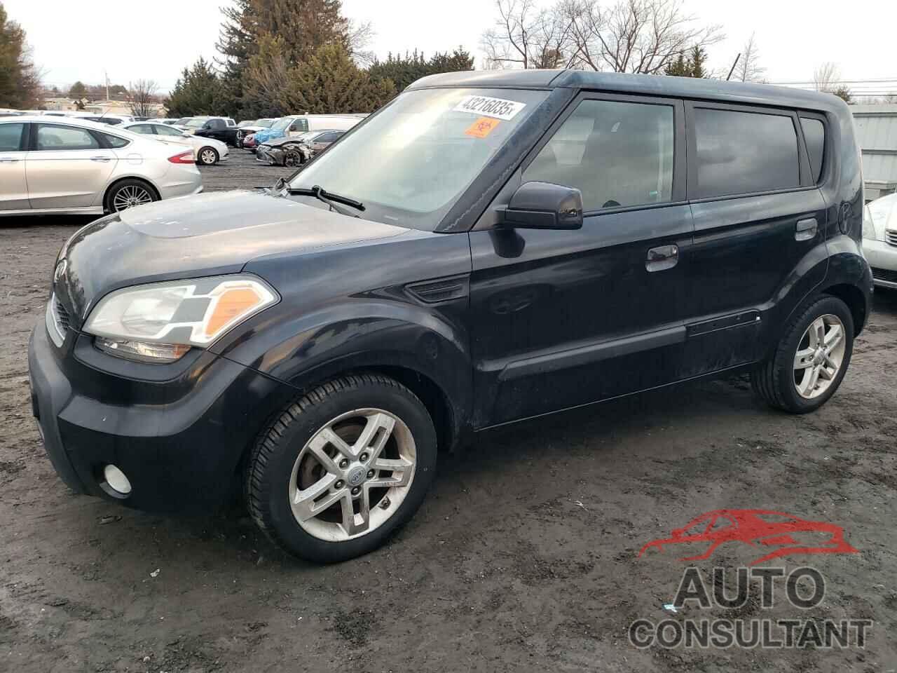 KIA SOUL 2010 - KNDJT2A23A7176329
