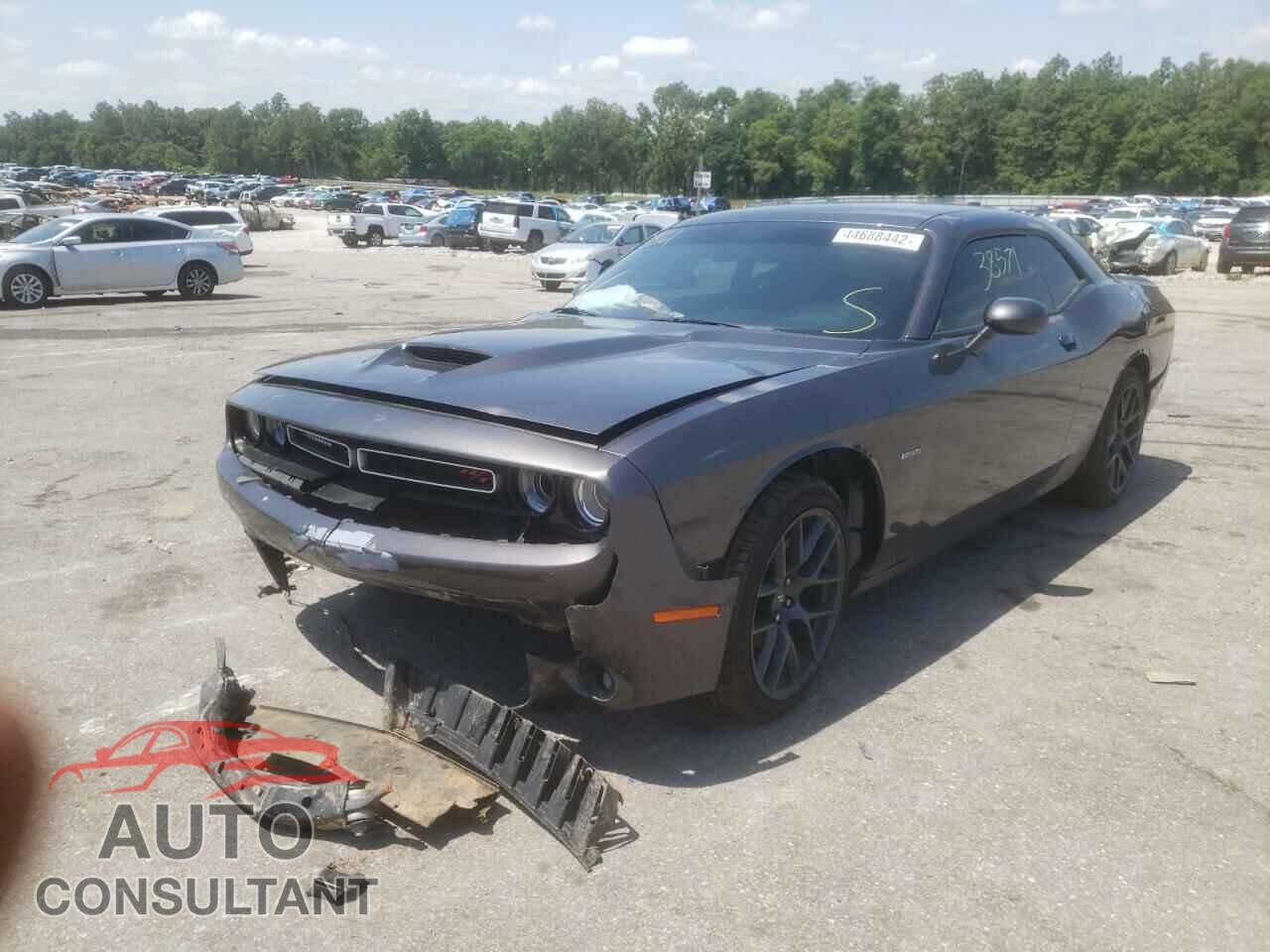 DODGE CHALLENGER 2019 - 2C3CDZBT9KH641440