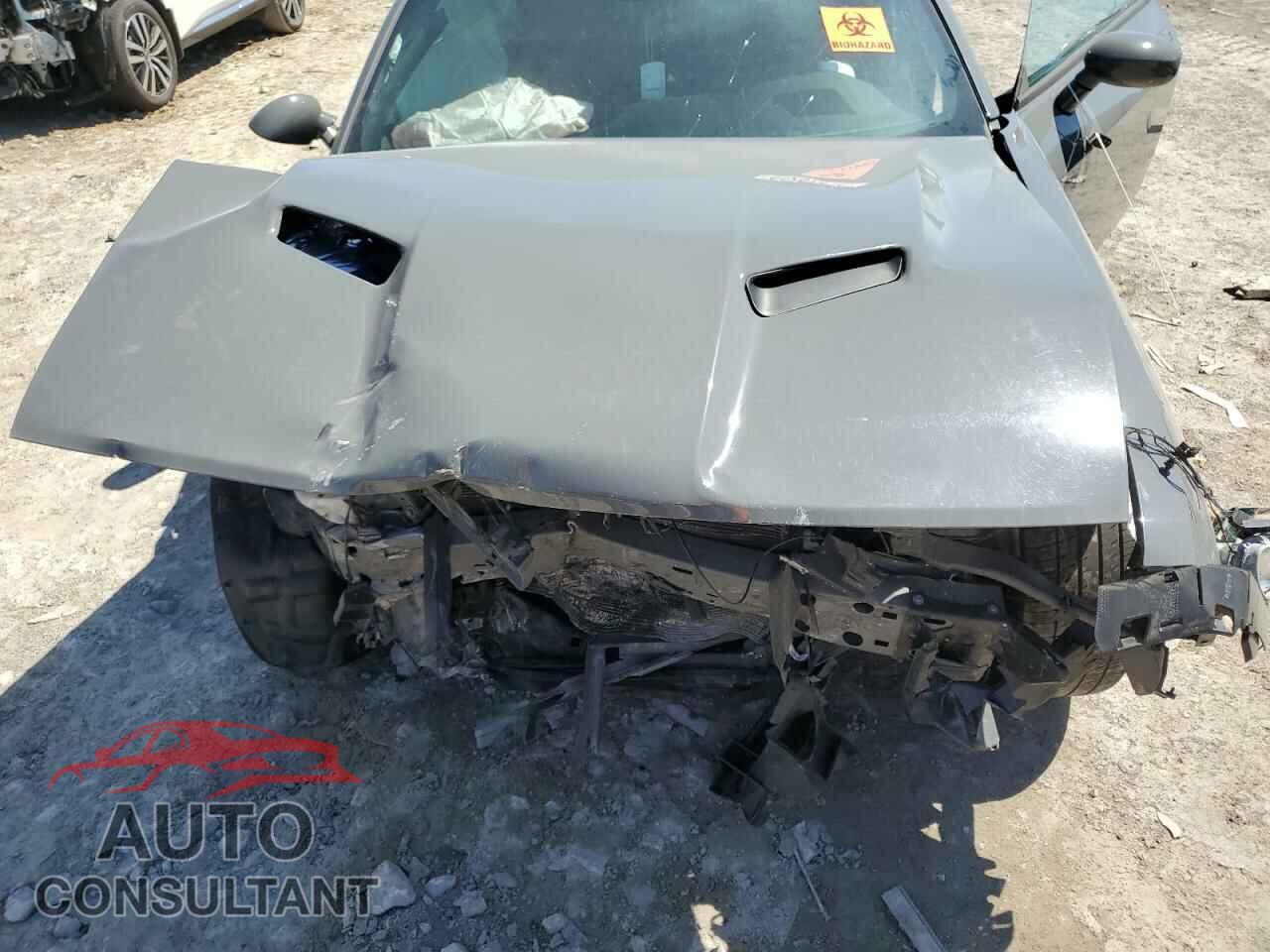 DODGE CHALLENGER 2019 - 2C3CDZAG7KH632384