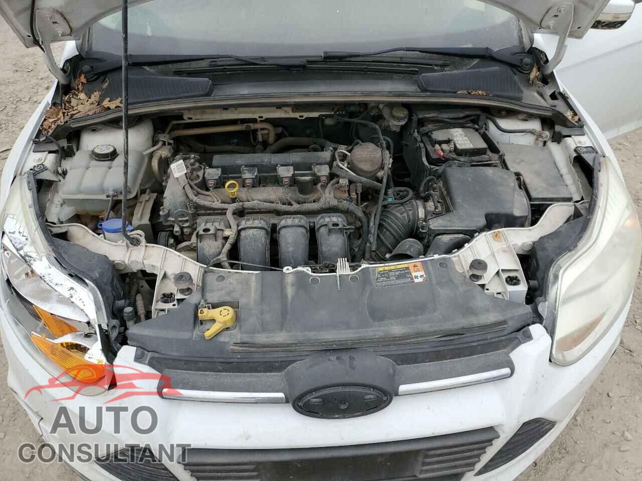 FORD FOCUS 2014 - 1FADP3F2XEL128488
