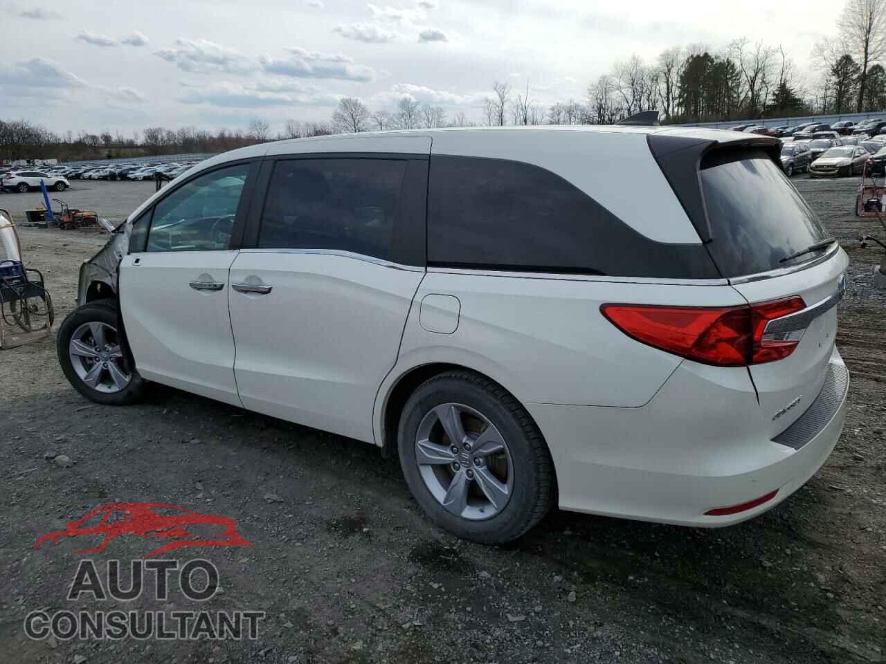 HONDA ODYSSEY 2019 - 5FNRL6H7XKB074064