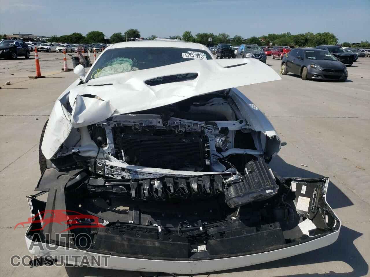 DODGE CHALLENGER 2019 - 2C3CDZFJ9KH625604