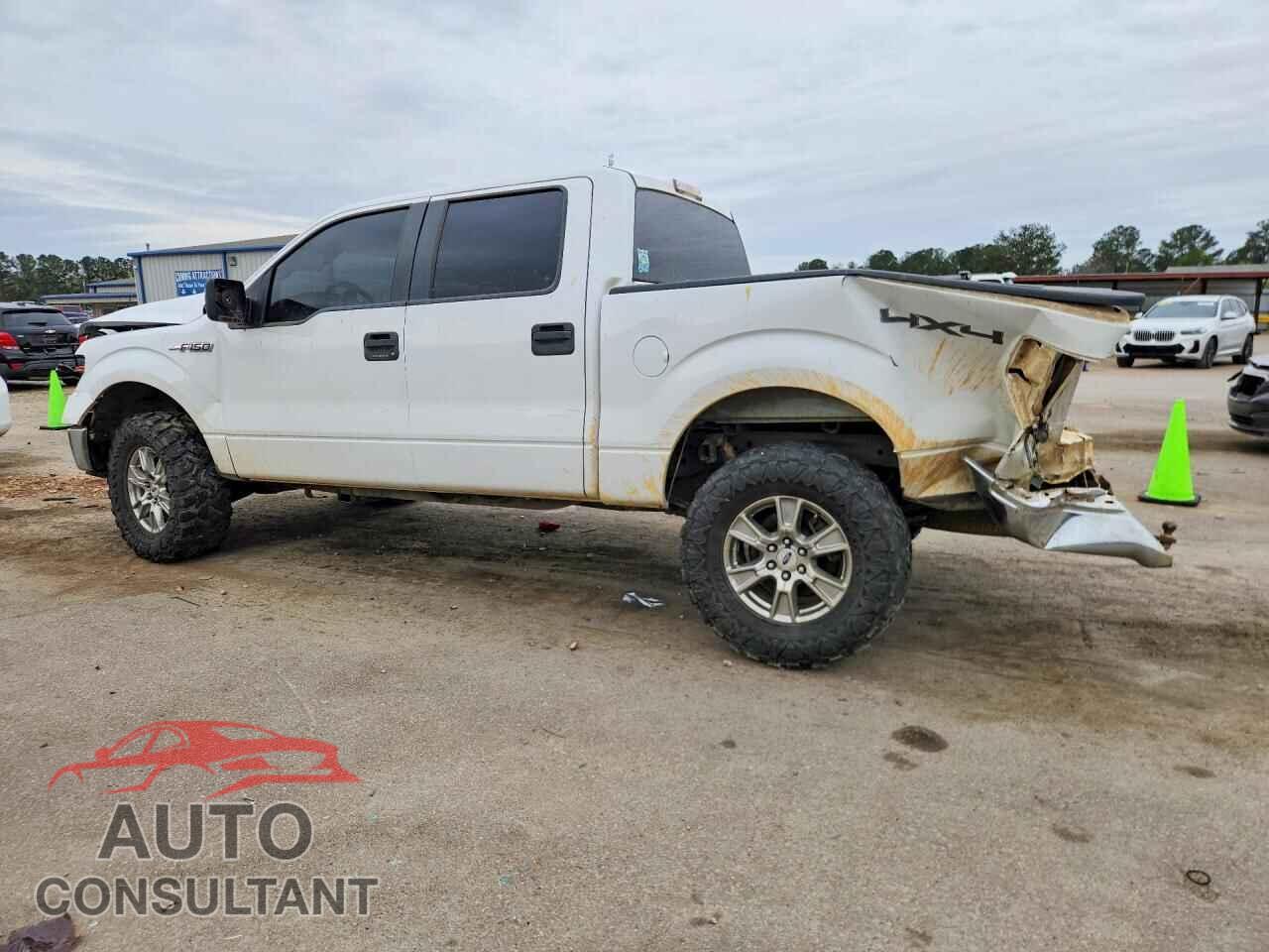 FORD F150 2013 - 1FTFW1ET0DFD10749