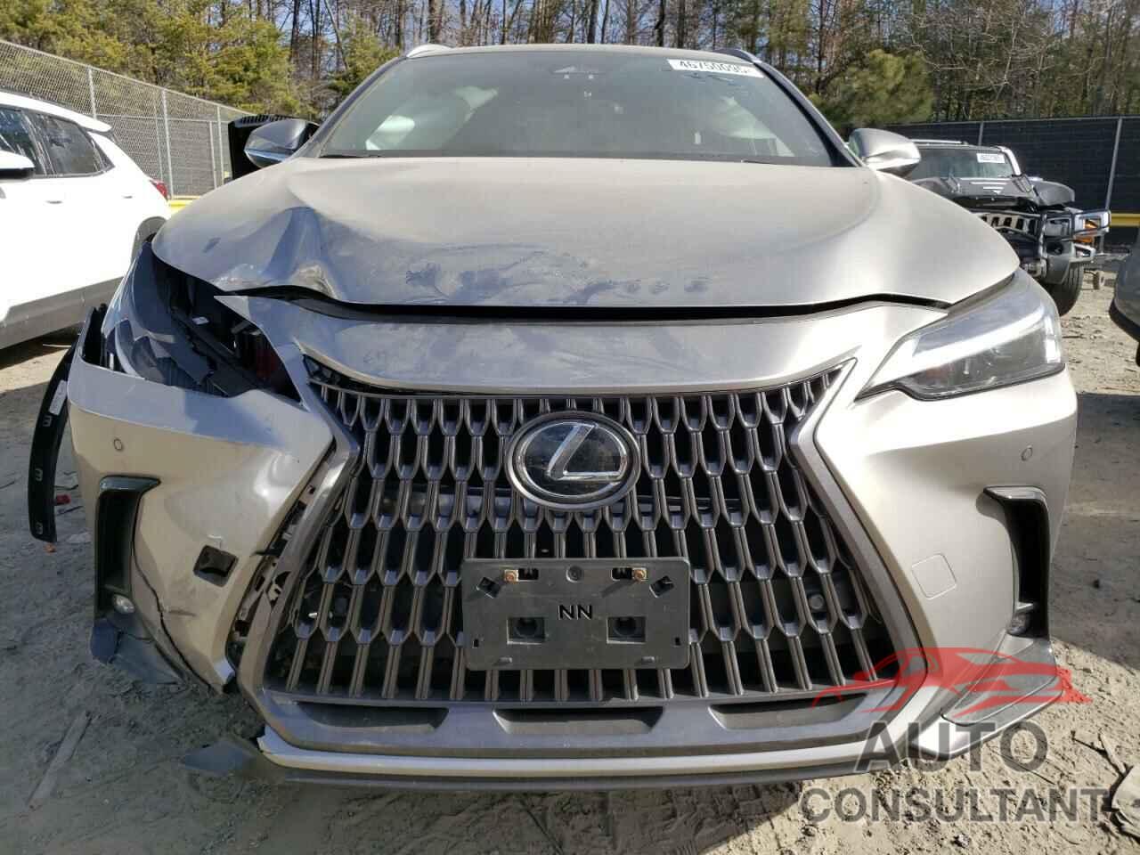 LEXUS NX 350 PRE 2024 - 2T2GGCEZ5RC052418