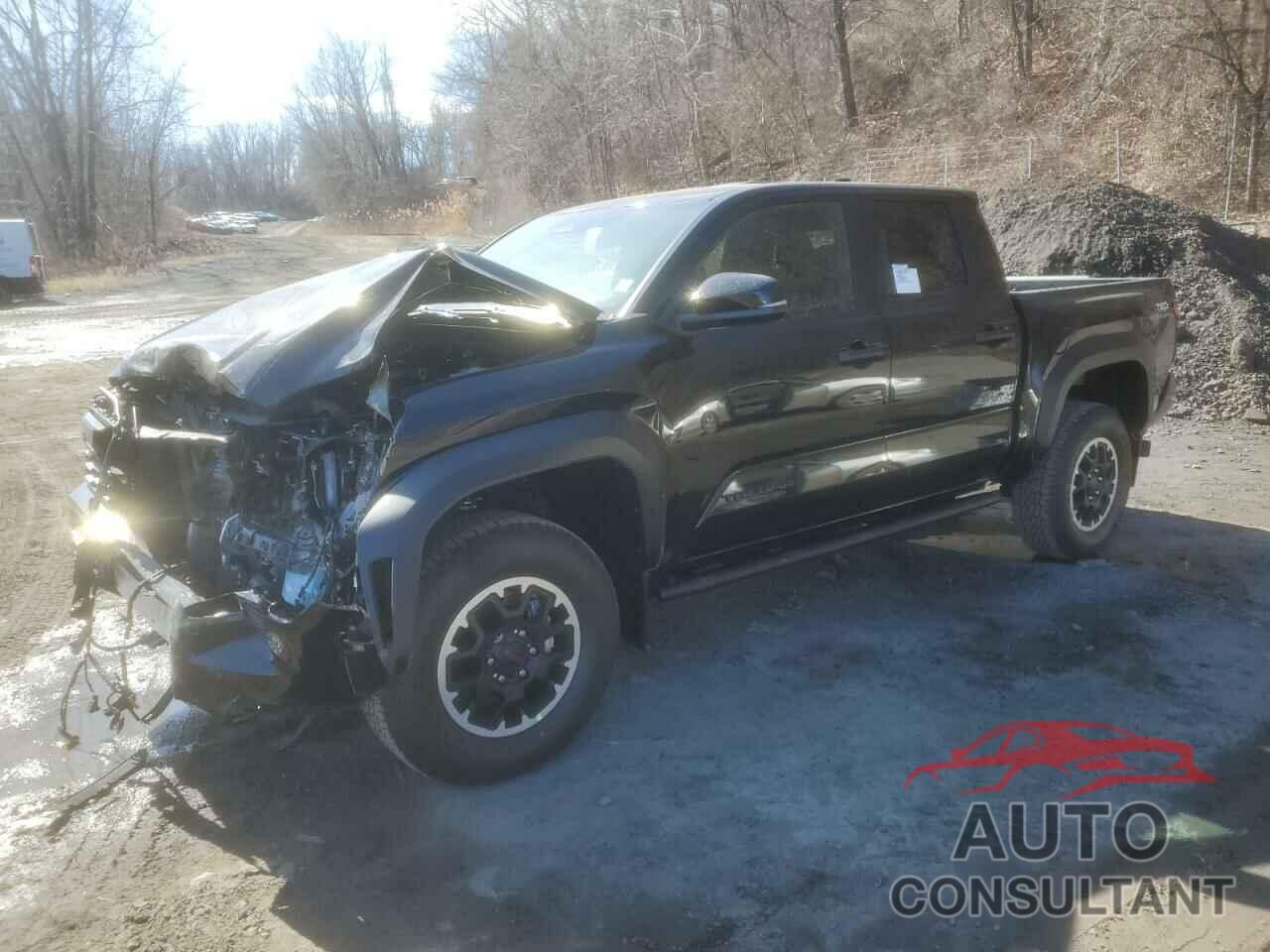 TOYOTA TACOMA 2024 - 3TMLB5JN4RM083845