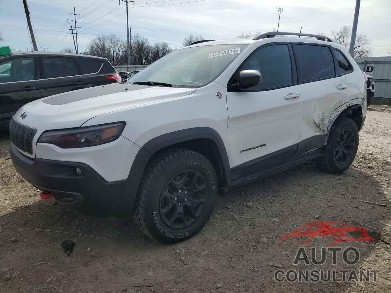 JEEP CHEROKEE 2019 - 1C4PJMBX6KD473426