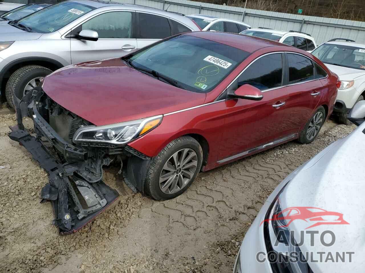 HYUNDAI SONATA 2015 - 5NPE34AF1FH105214