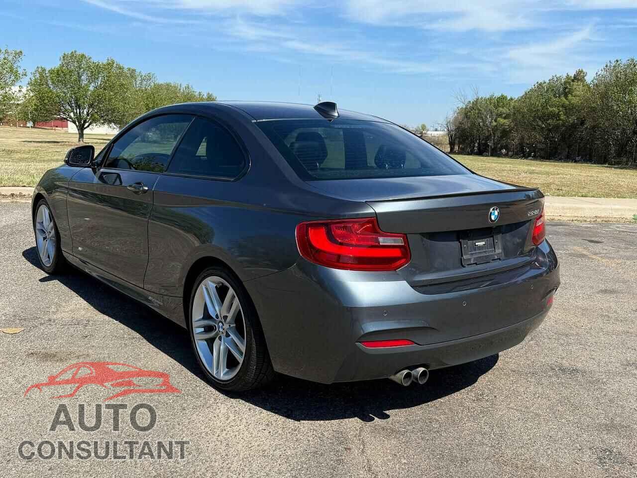 BMW 2 SERIES 2014 - WBA1F5C51EV255559