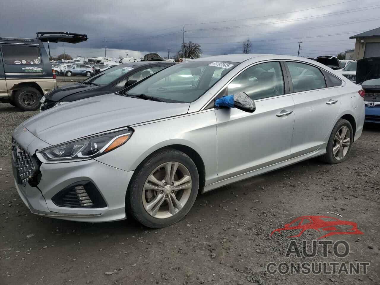 HYUNDAI SONATA 2019 - 5NPE34AF7KH779068