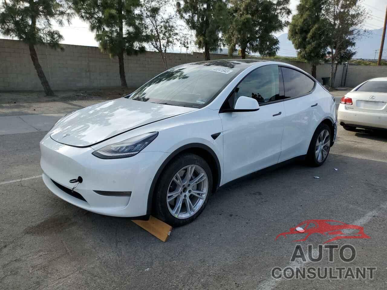 TESLA MODEL Y 2021 - 5YJYGDEE6MF087436
