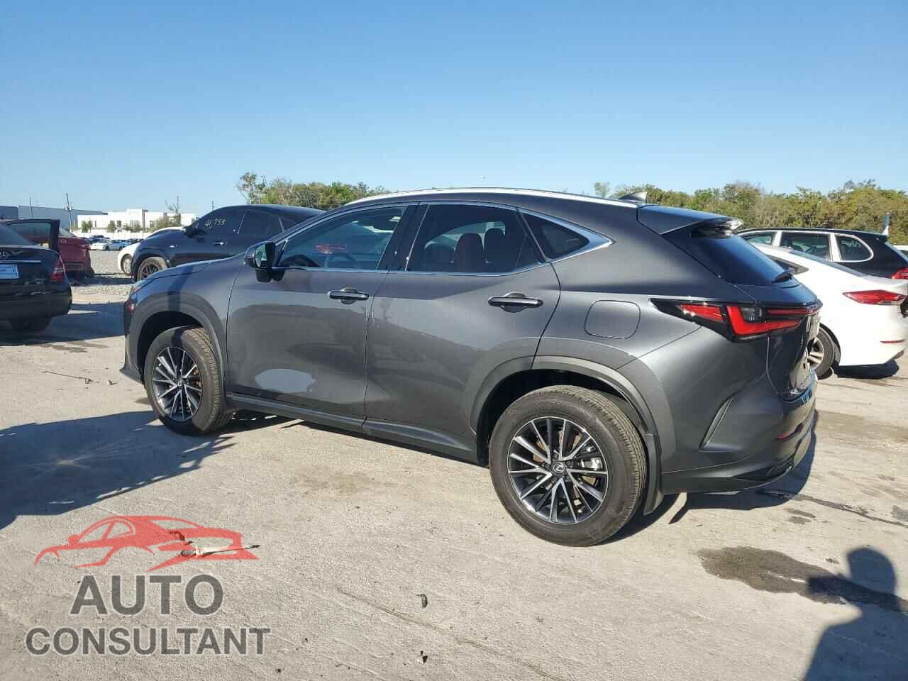 LEXUS NX 250 BAS 2024 - 2T2ADCAZ5RC008083