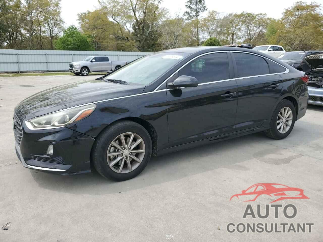 HYUNDAI SONATA 2019 - 5NPE24AF0KH767492