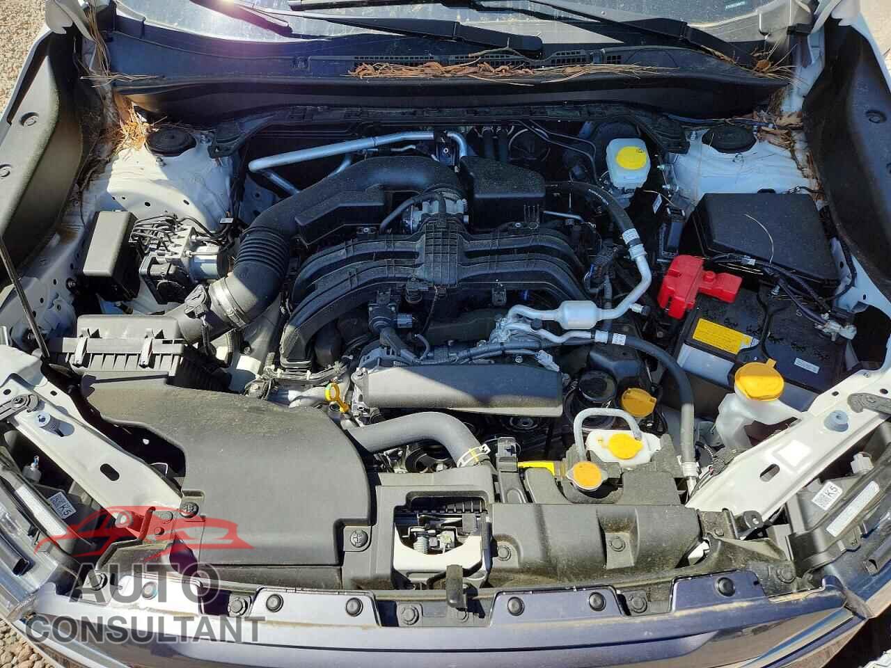 SUBARU FORESTER 2025 - JF2SLDDC2SH401339