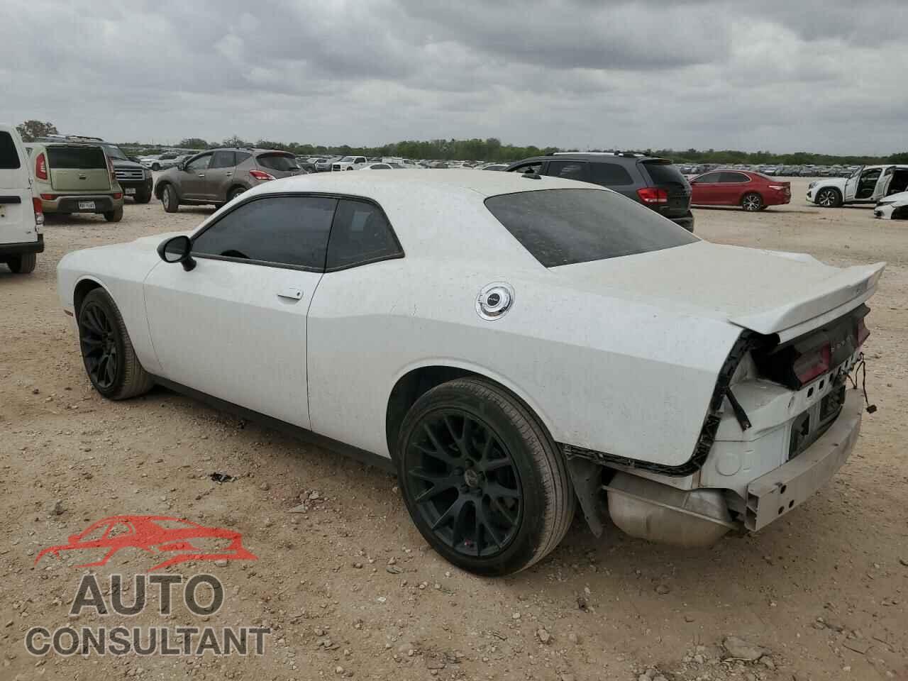 DODGE CHALLENGER 2019 - 2C3CDZAG2KH677345