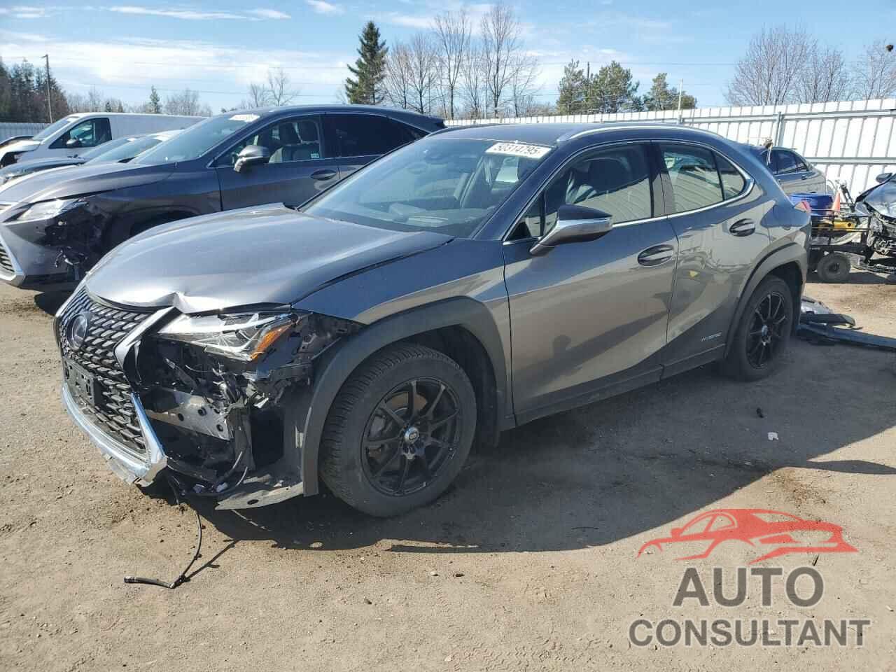 LEXUS UX 250H 2020 - JTHL9JBH3L2032377