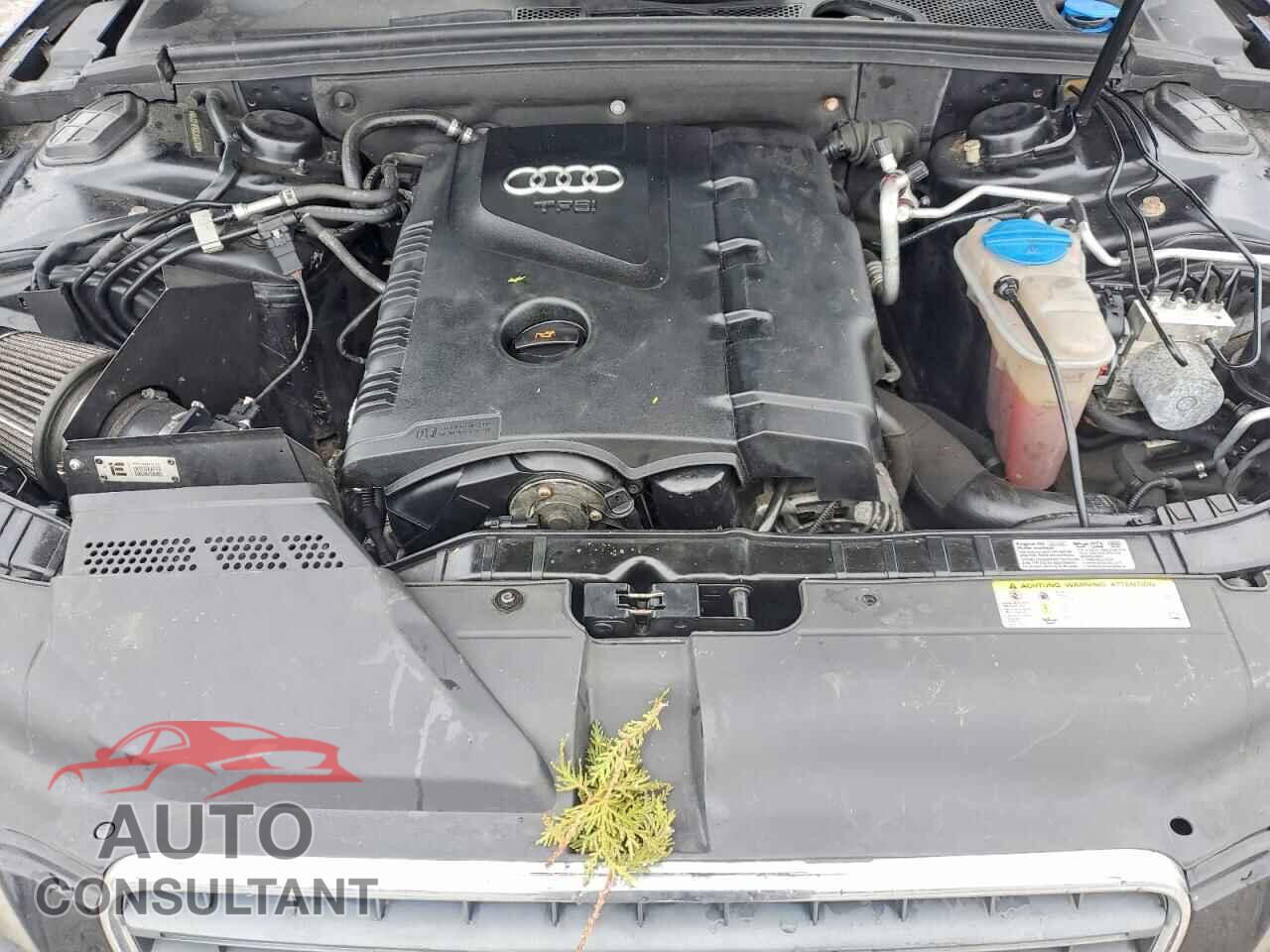 AUDI A5 2012 - WAUCFAFR2CA003808