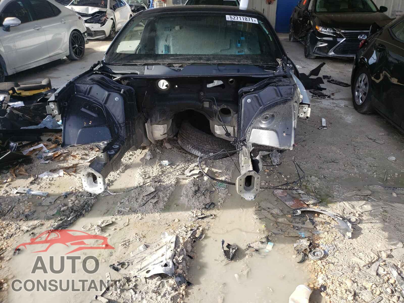 DODGE CHALLENGER 2019 - 2C3CDZBT1KH556947