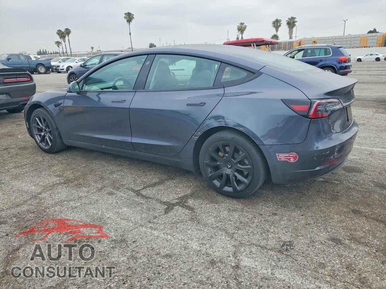 TESLA MODEL 3 2021 - 5YJ3E1EA5MF100589