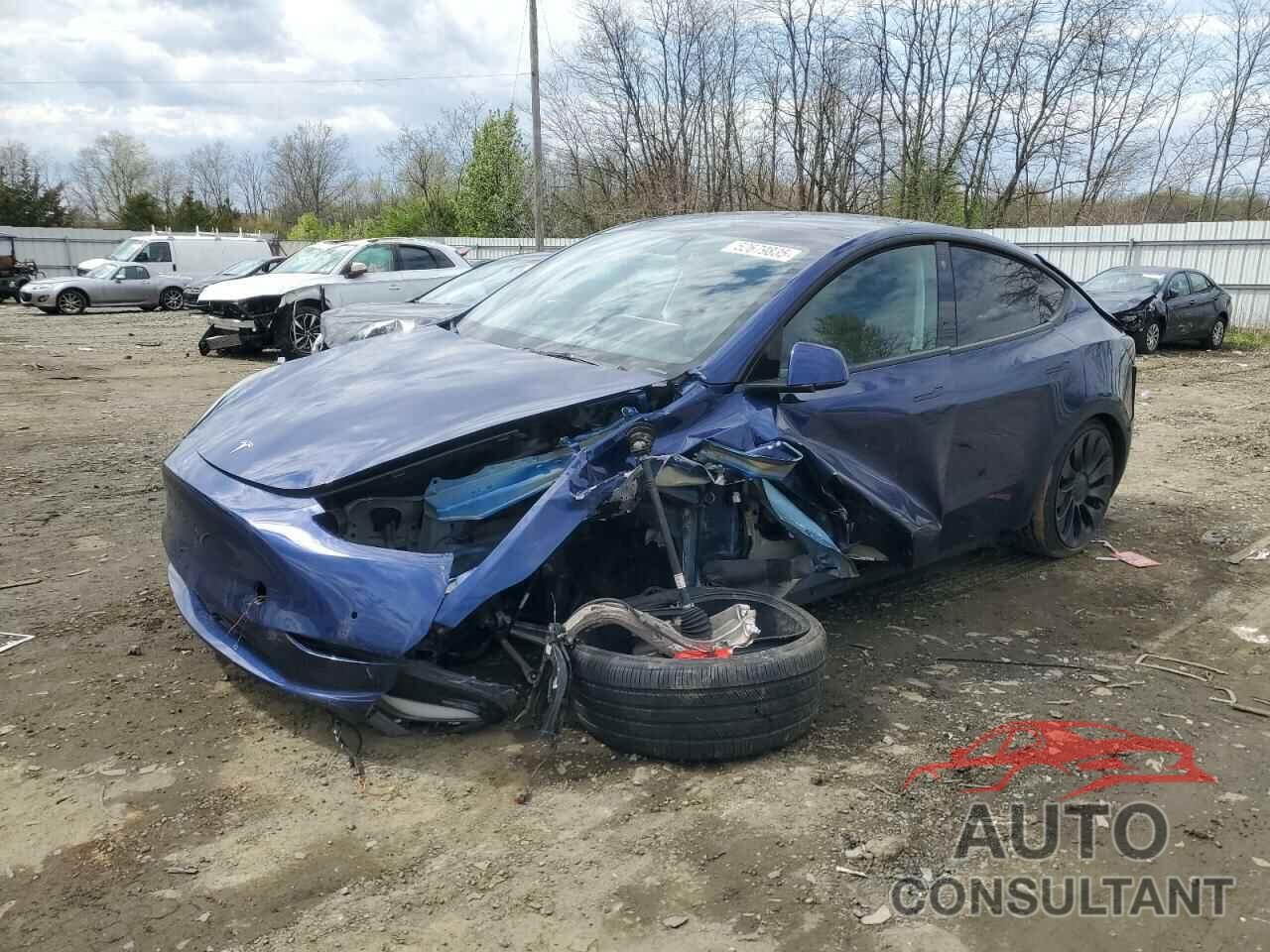 TESLA MODEL Y 2022 - 7SAYGDEF6NF448872