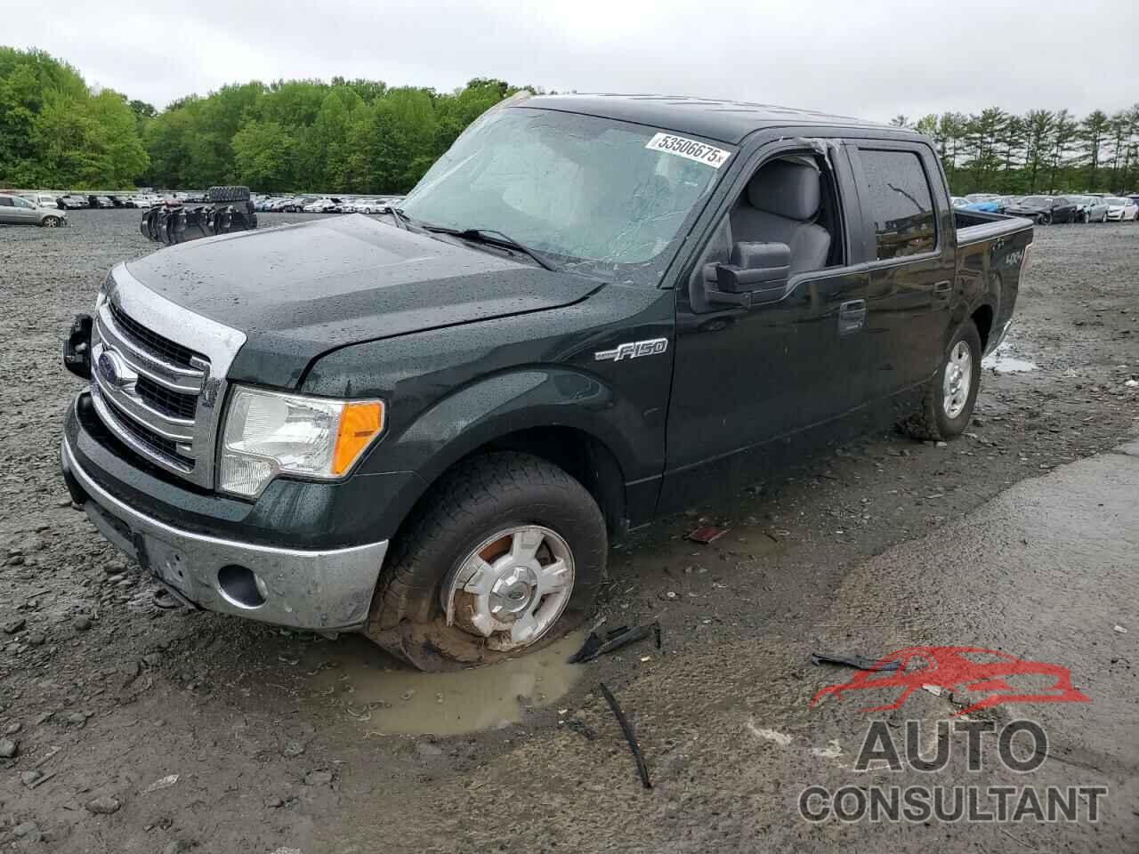 FORD F-150 2014 - 1FTFW1EF0EFC00943