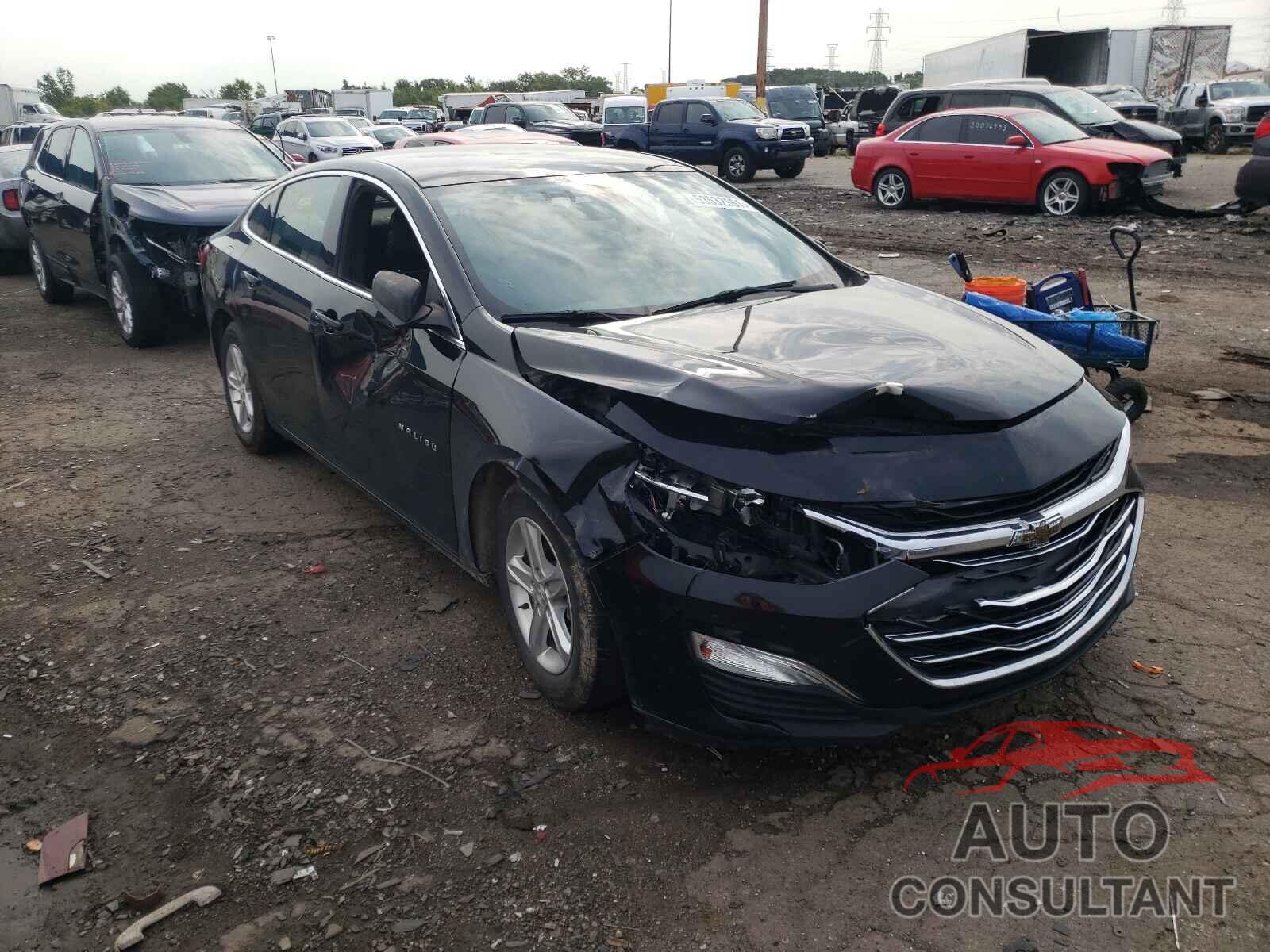 CHEVROLET MALIBU 2019 - 1G1ZC5ST0KF170273