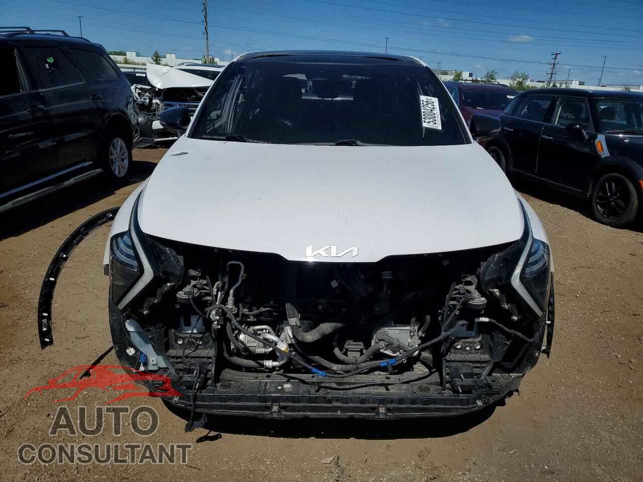 KIA SPORTAGE 2024 - 5XYK6CDF0RG157686
