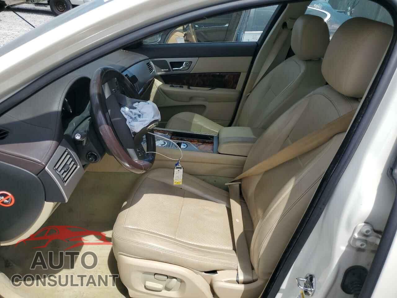JAGUAR XF 2009 - SAJXA06B79HR44382