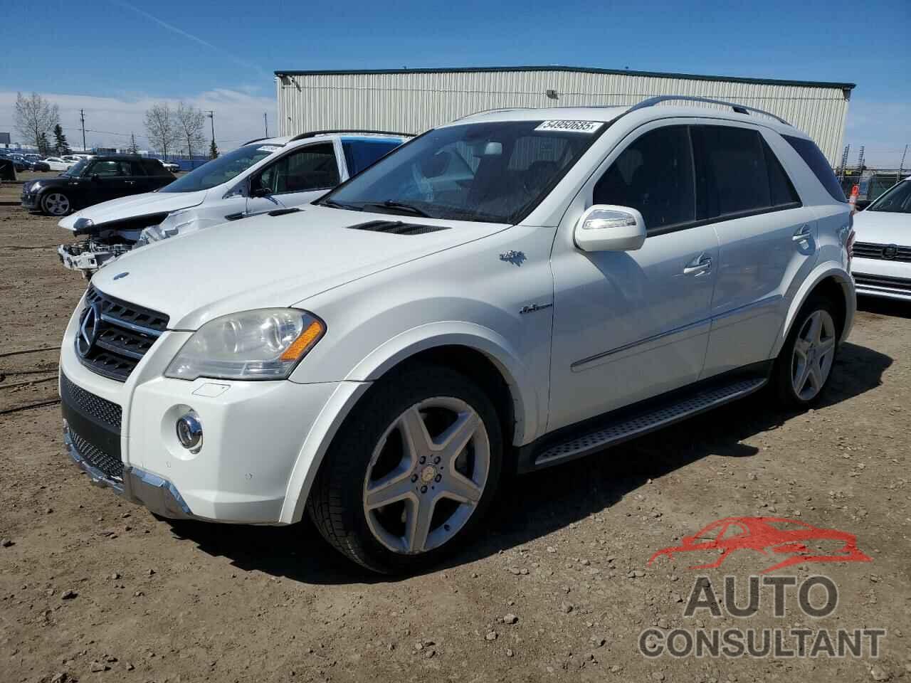 MERCEDES-BENZ M-CLASS 2010 - 4JGBB7HBXAA617124