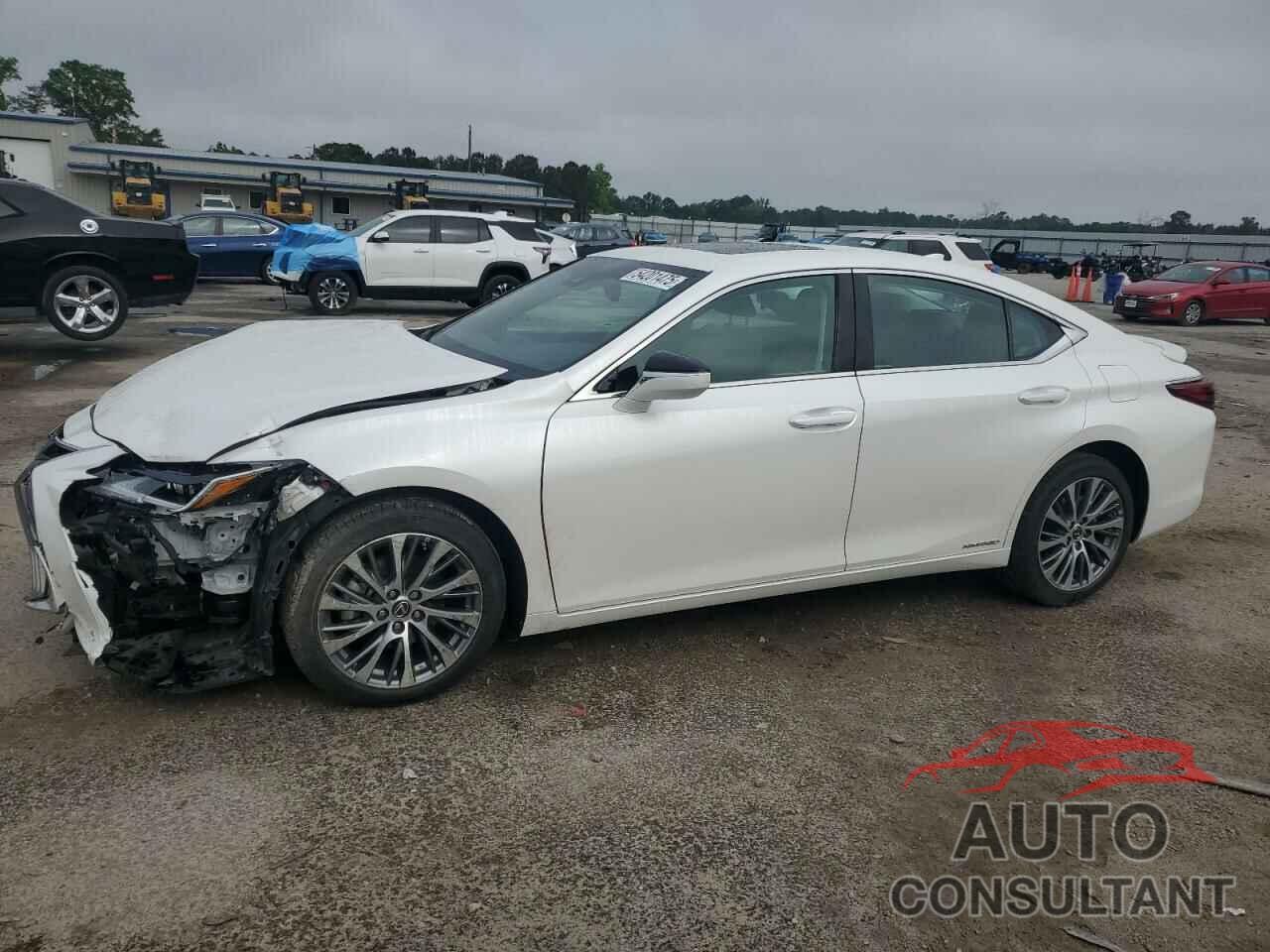 LEXUS ES300 2020 - 58AD21B17LU009951