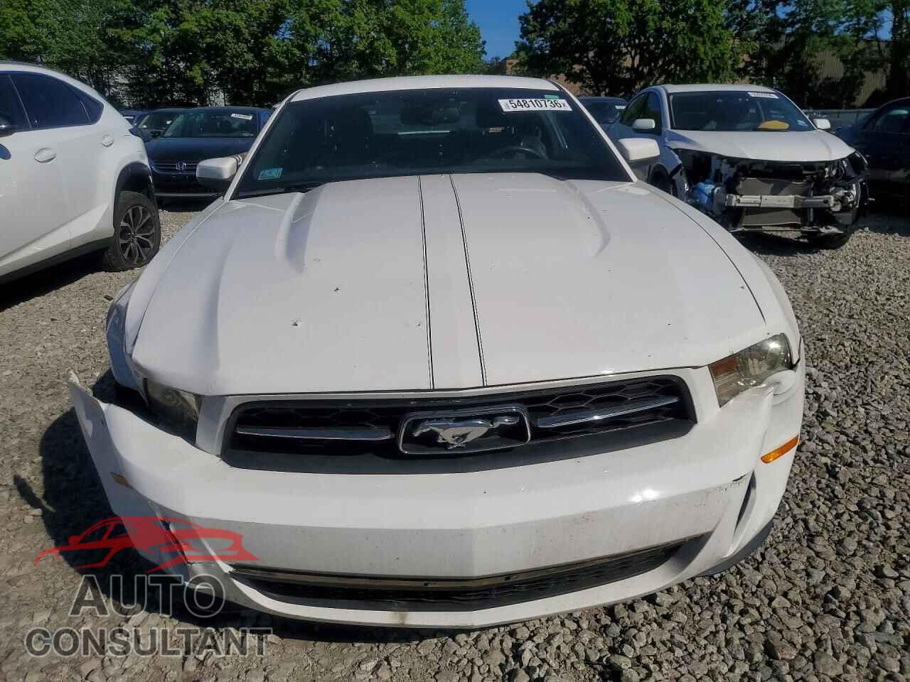 FORD MUSTANG 2010 - 1ZVBP8AN3A5121166