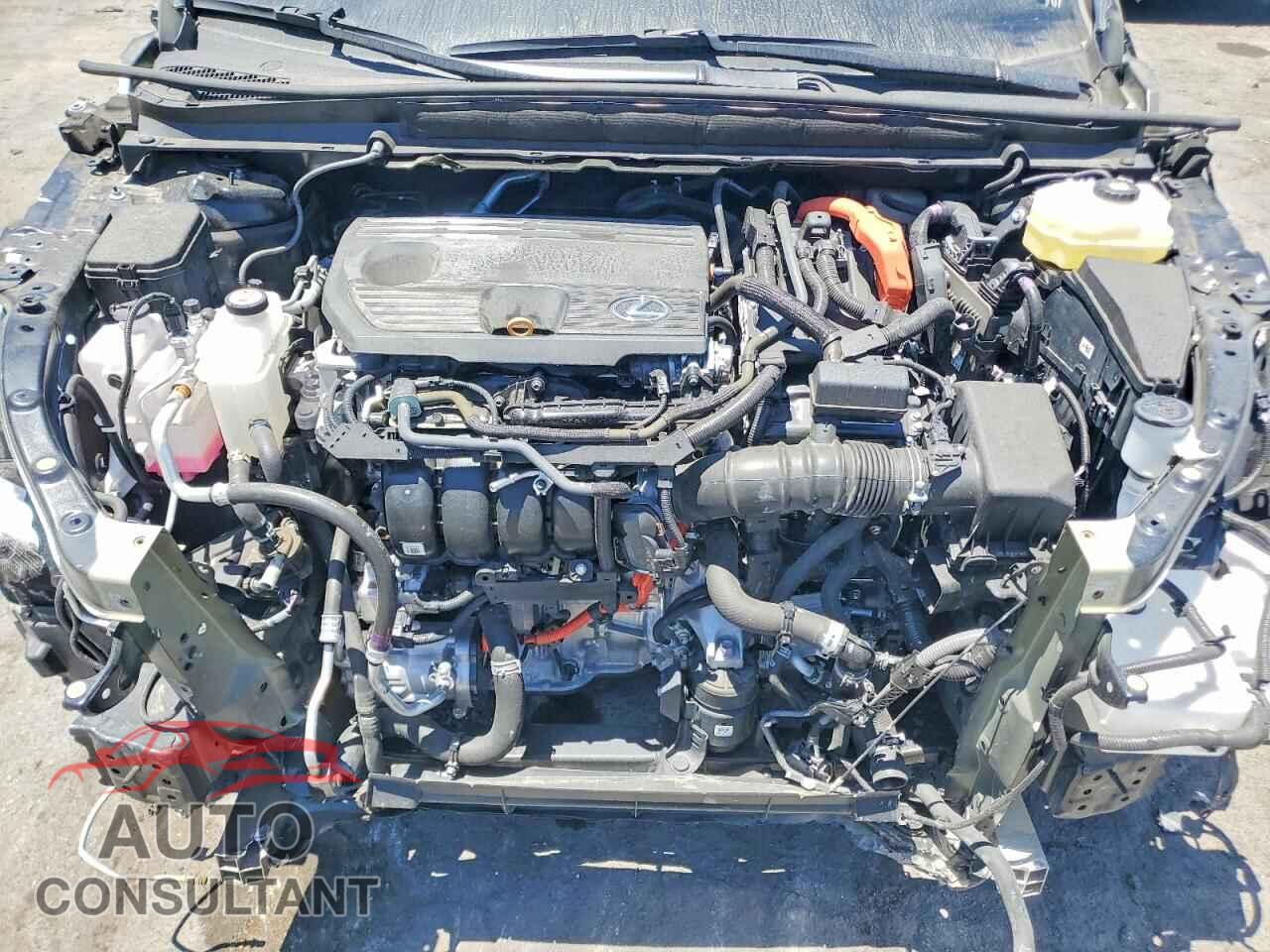 LEXUS UNKNOWN 2025 - 2T2BBMCA4SC073245