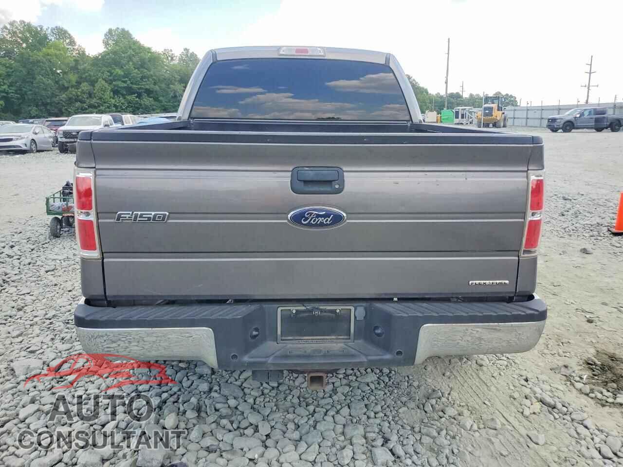 FORD F150 2013 - 1FTFW1CFXDFD31606