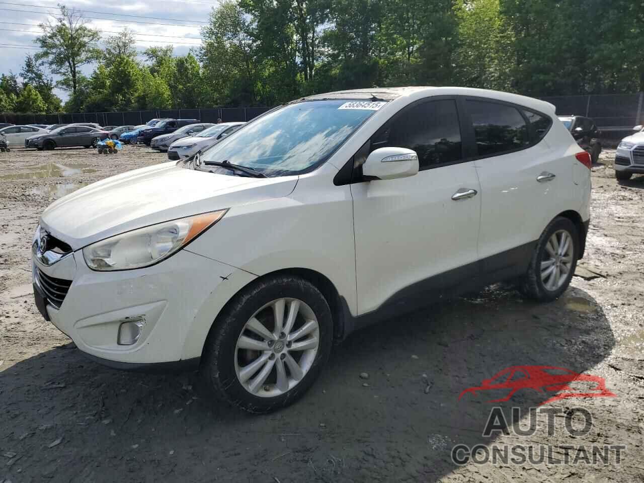 HYUNDAI TUCSON 2011 - KM8JU3AC4BU191951