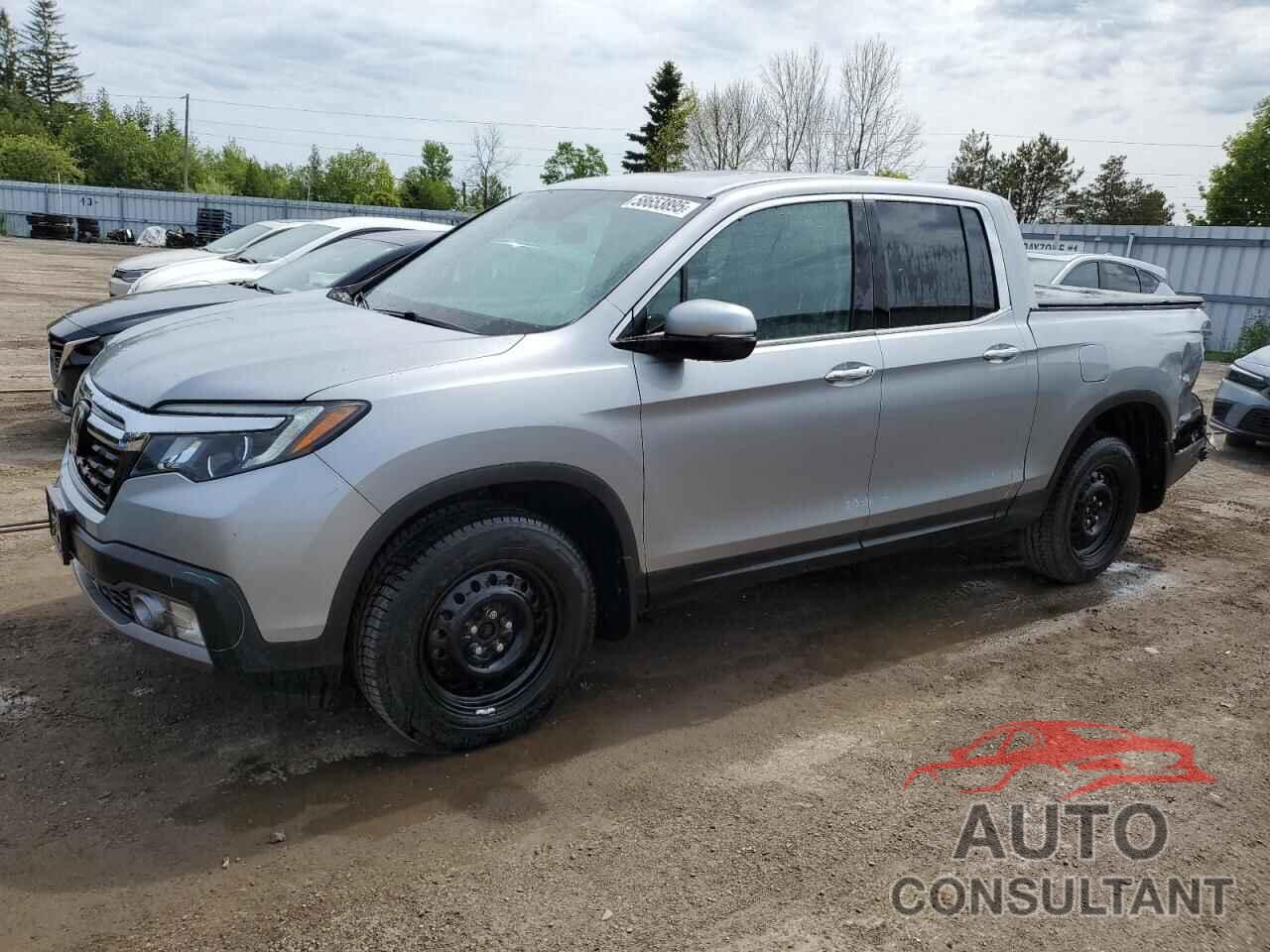 HONDA RIDGELINE 2019 - 5FPYK3F72KB502829