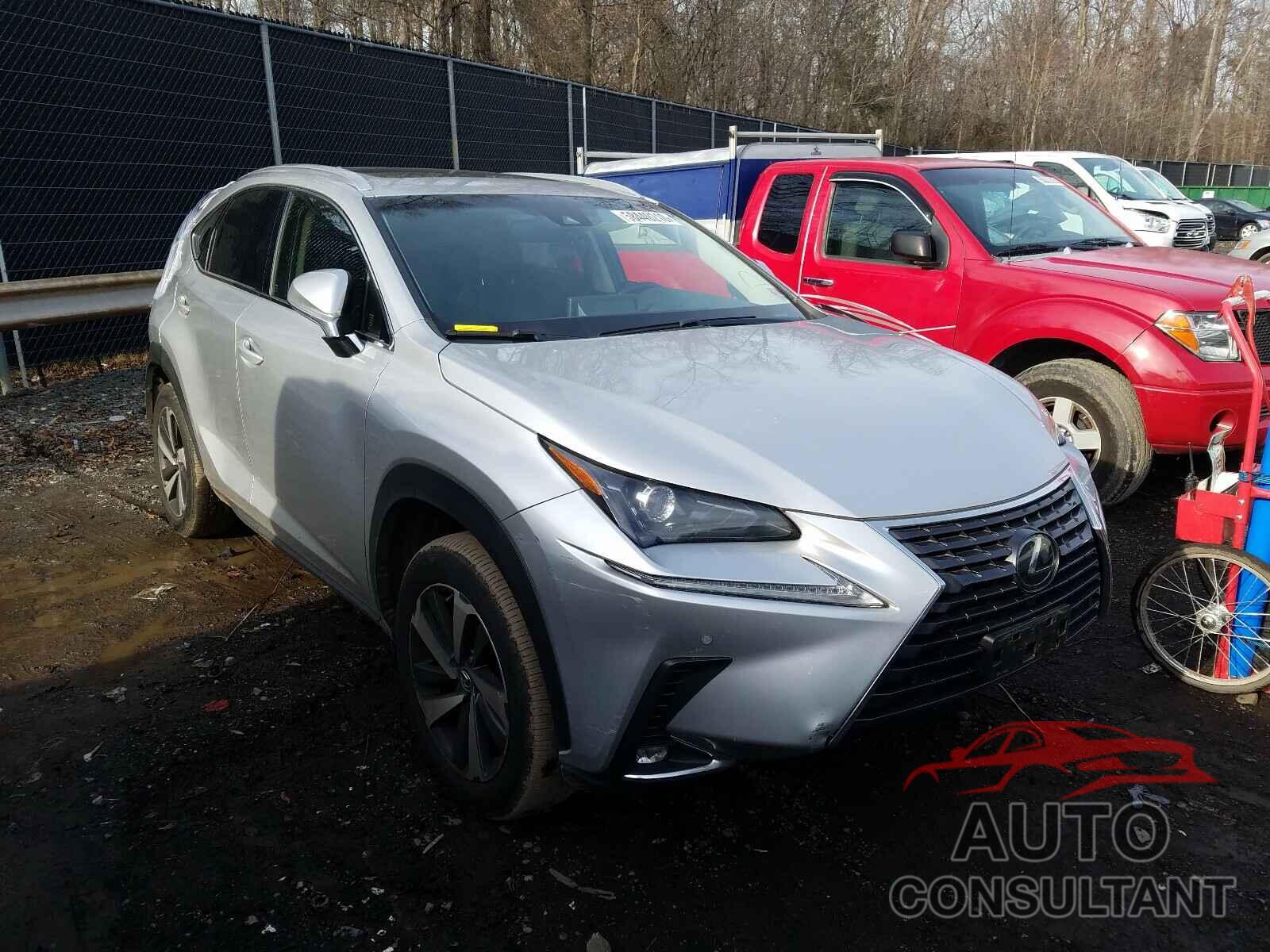 2019 NX LEXUS