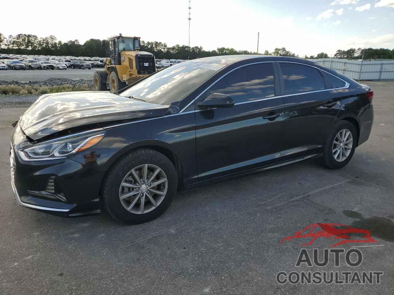 HYUNDAI SONATA 2019 - 5NPE24AFXKH735097