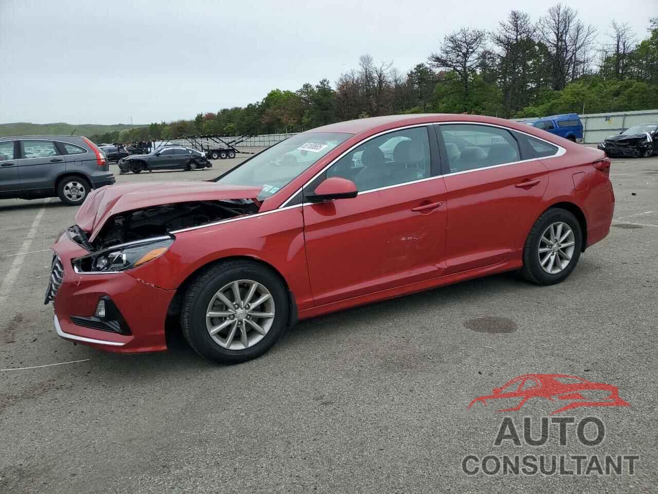 HYUNDAI SONATA 2019 - 5NPE24AF7KH793409