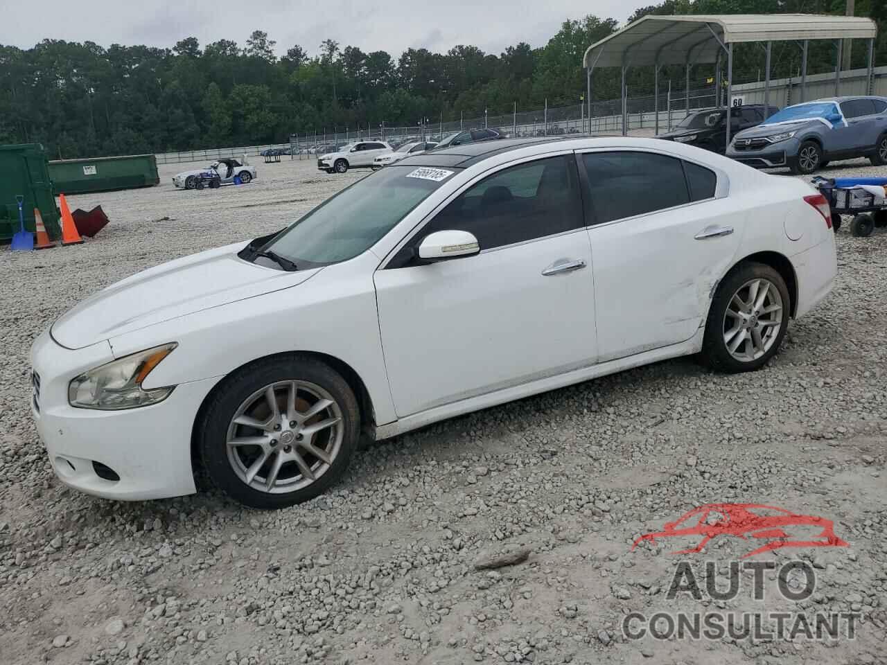 NISSAN MAXIMA 2009 - 1N4AA51E39C828053