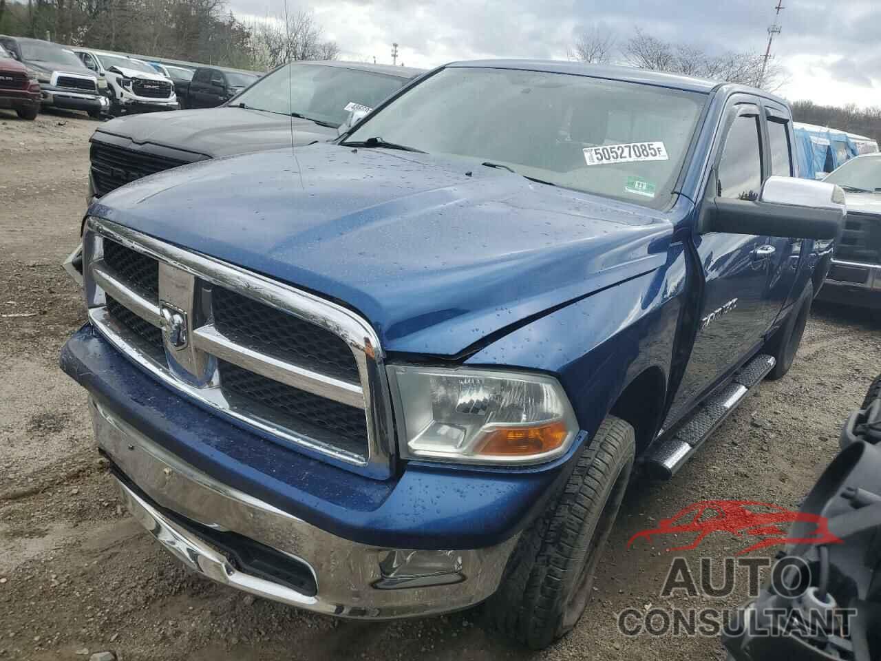 DODGE All Models 2011 - 1D7RV1GP7BS516547
