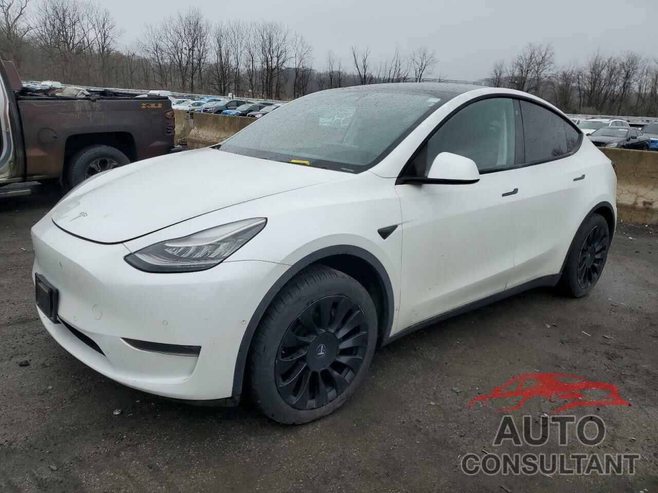 TESLA MODEL Y 2020 - 5YJYGDEE8LF026104