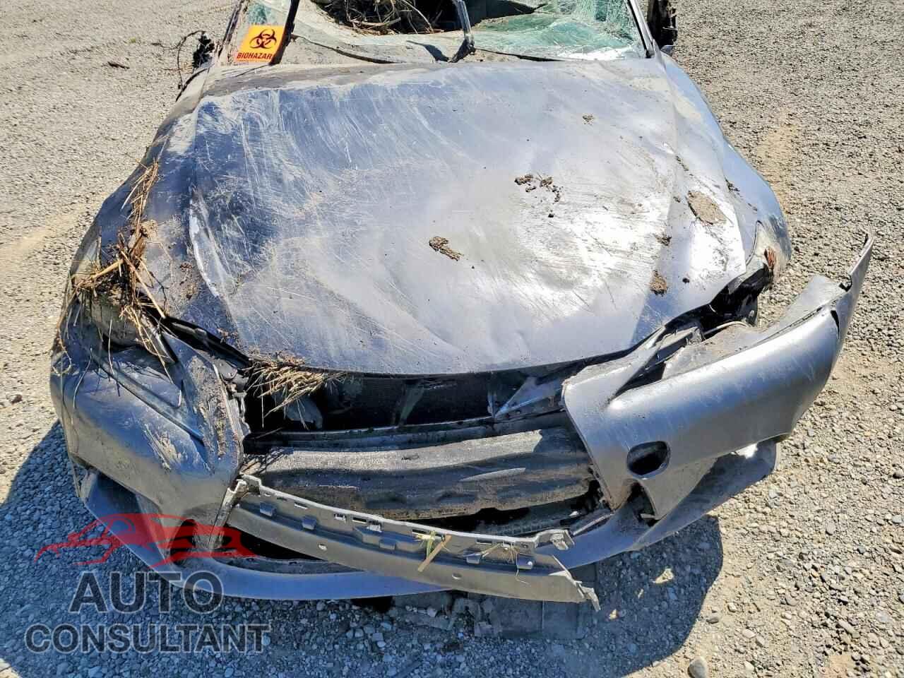 LEXUS IS 2015 - JTHBF1D27F5073496