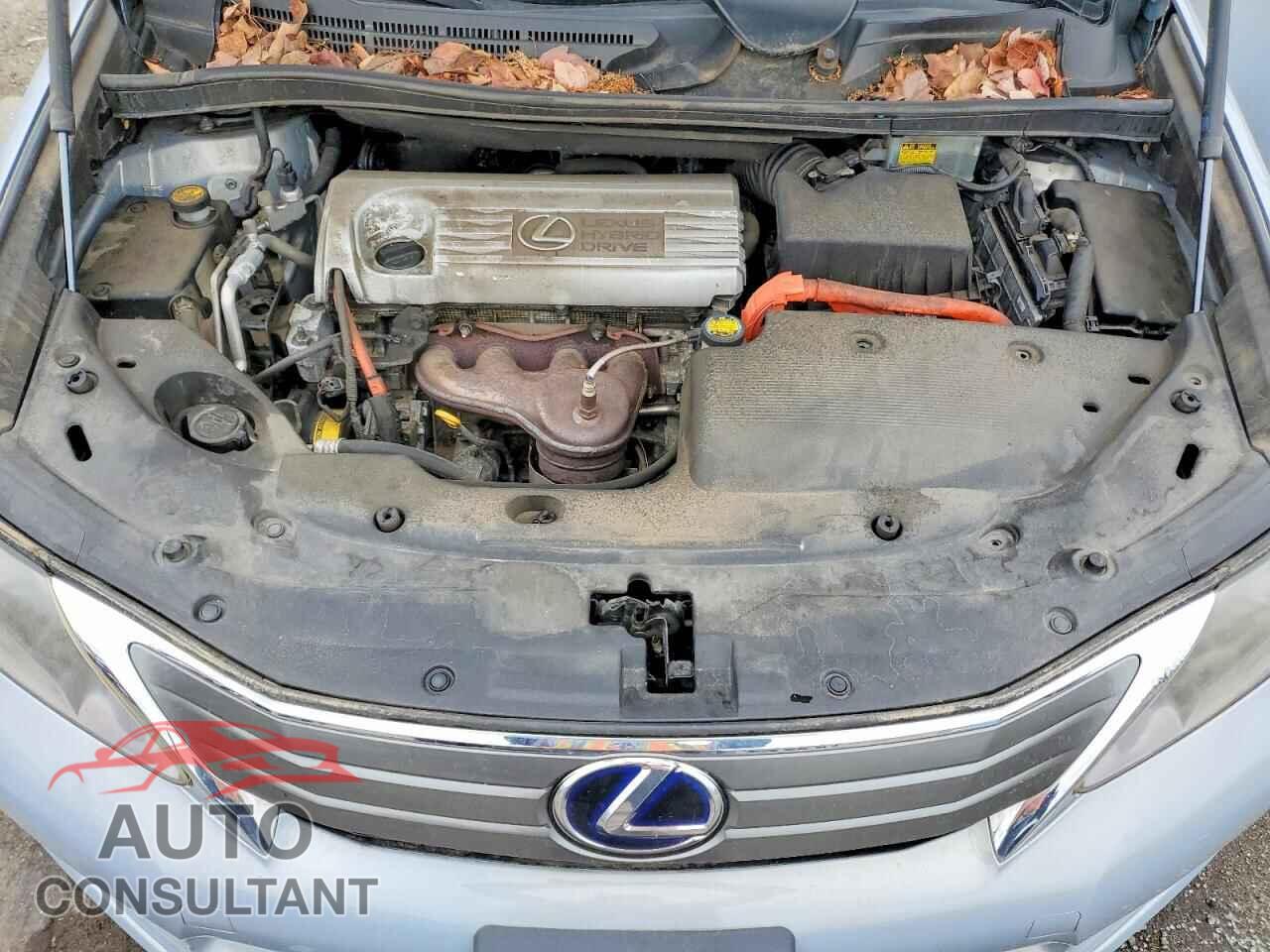 LEXUS HS 2010 - JTHBB1BA3A2001677