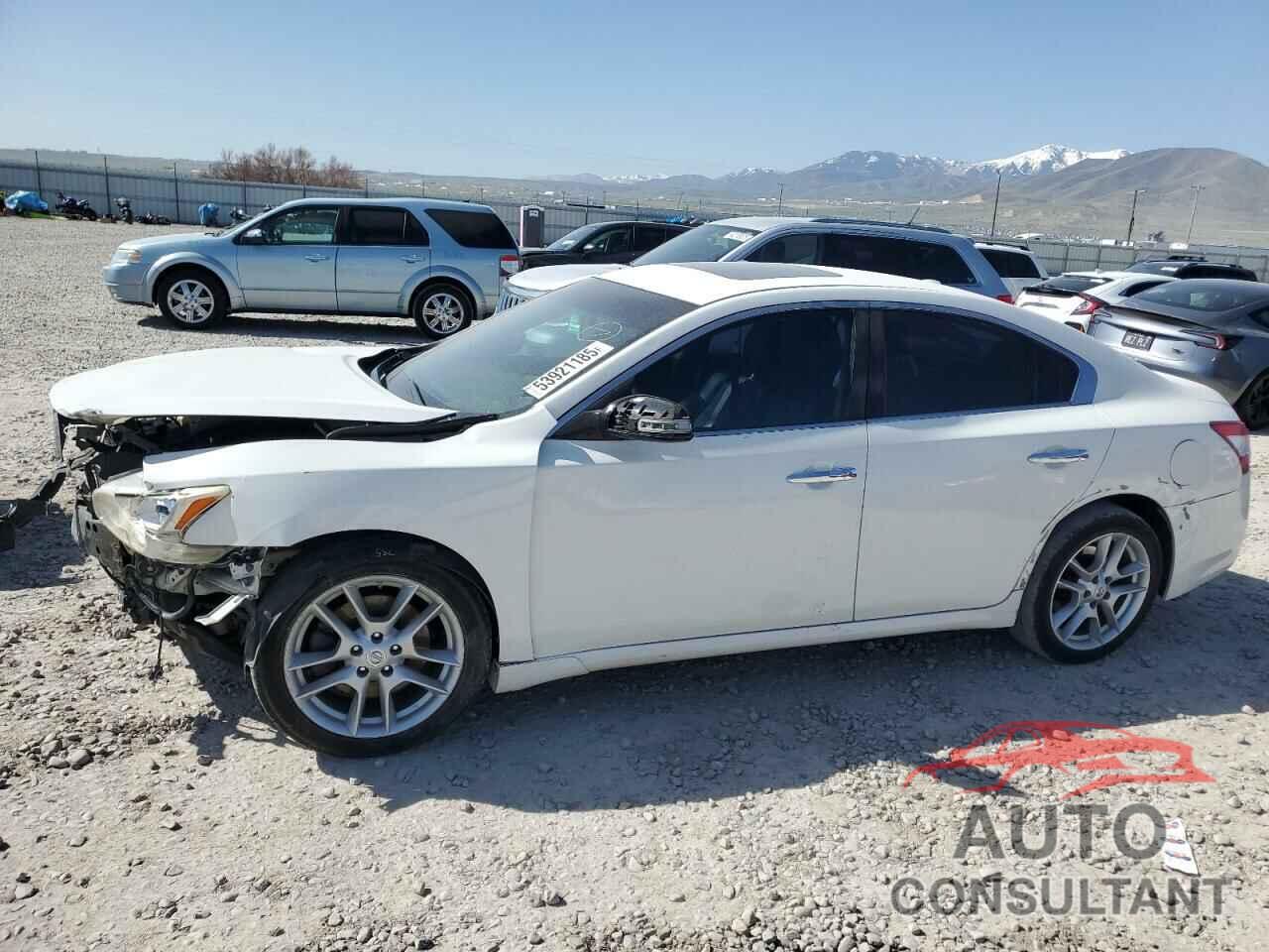 NISSAN MAXIMA 2011 - 1N4AA5AP6BC818477