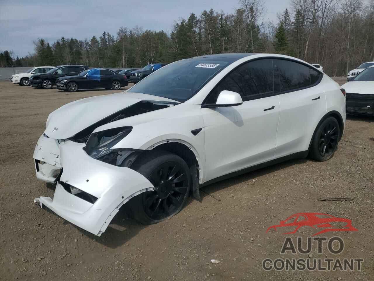 TESLA MODEL Y 2022 - 7SAYGDEE0NF532502