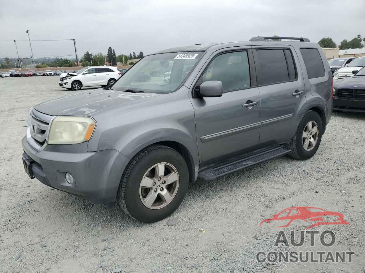 HONDA PILOT 2009 - 5FNYF38599B016859