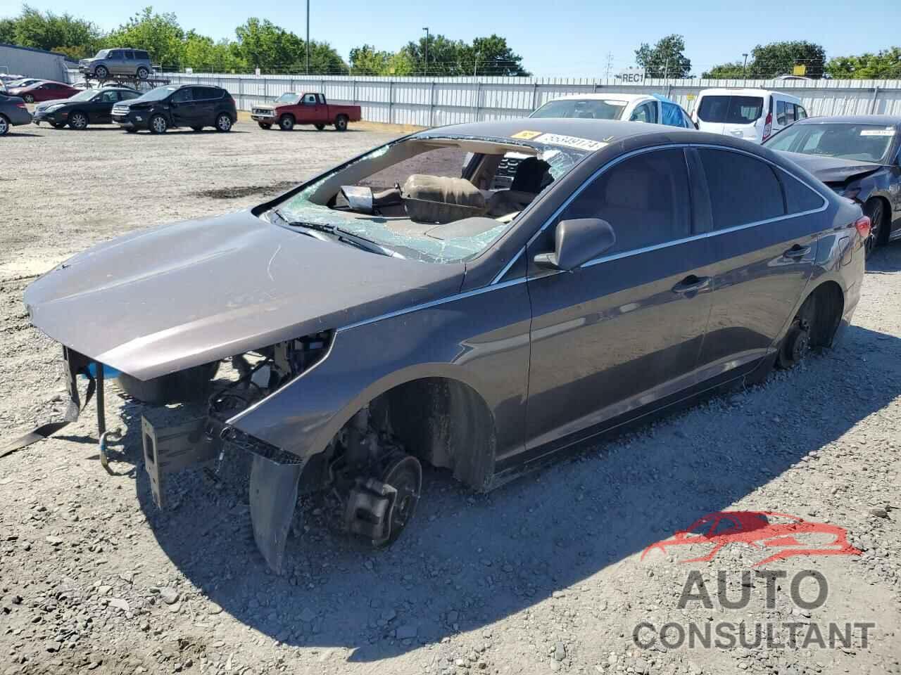 HYUNDAI SONATA 2016 - 5NPE24AF7GH391994