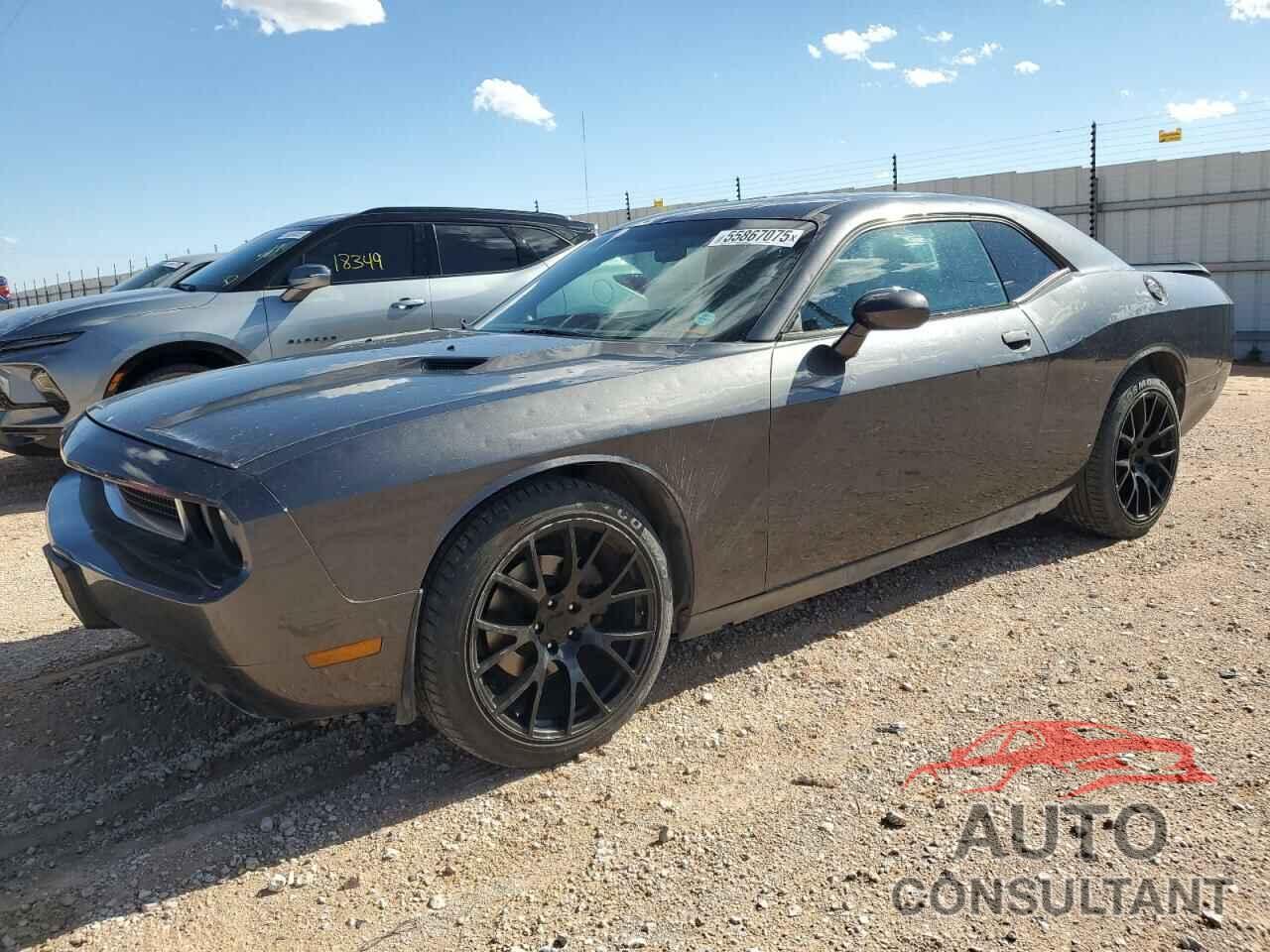 DODGE CHALLENGER 2013 - 2C3CDYAG4DH704252
