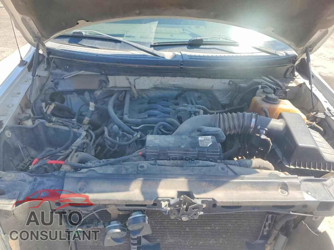 FORD F150 2011 - 1FTFW1EF8BFB85359